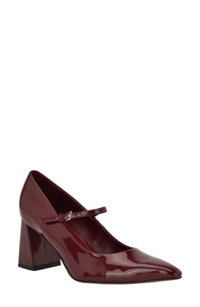 Calvin Klein Leora Pointed Toe Mary Jane Pump In Burgundy