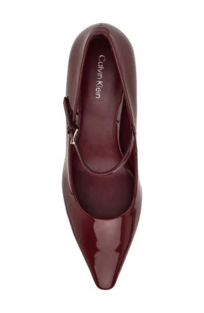 Calvin Klein Leora Pointed Toe Mary Jane Pump In Burgundy