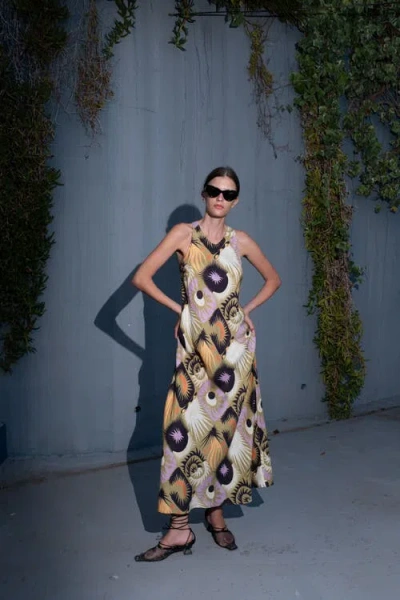 Untitled In Motion Untitled In Multi