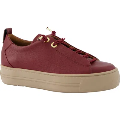 Paul Green Faye Sneaker In Burgundy