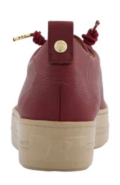 Paul Green Faye Sneaker In Burgundy