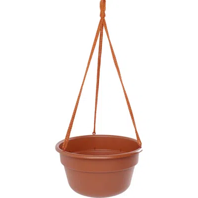 Bloem Dura Cotta Self Watering Hanging Basket Planter 12 Inch Terra Cotta In Brown