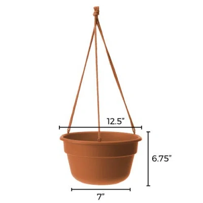 Bloem Dura Cotta Self Watering Hanging Basket Planter 12 Inch Terra Cotta In Brown