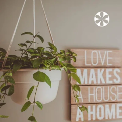 Bloem Dura Cotta Self Watering Hanging Basket Planter 12 Inch Terra Cotta In Brown