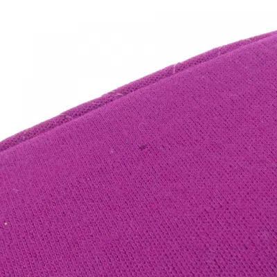 Pre-owned Chanel Purple Canvas Shoulder Bag ()