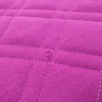 Pre-owned Chanel Purple Canvas Shoulder Bag ()