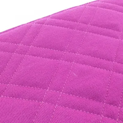 Pre-owned Chanel Purple Canvas Shoulder Bag ()