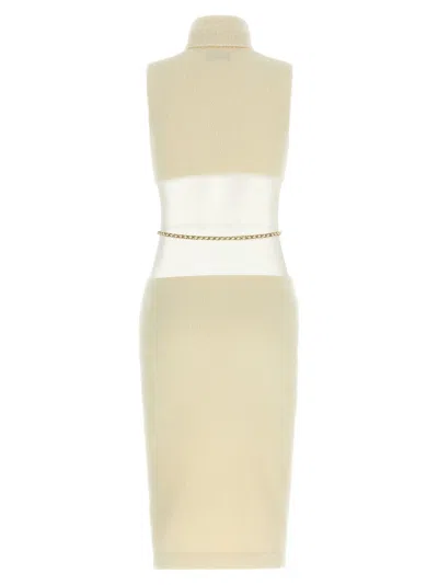 Elisabetta Franchi Turtleneck Sleeveless Dress Open Back In Brown