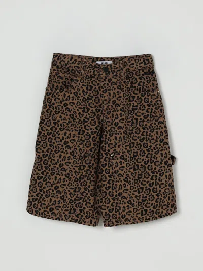 Msgm Leopard-print Shorts In Brown