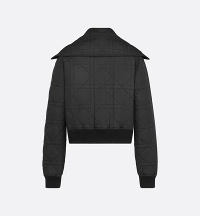 Dior Quilted Down Jacket In Technical Fabric In Black
