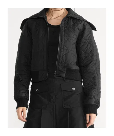 Dior Quilted Down Jacket In Technical Fabric In Black