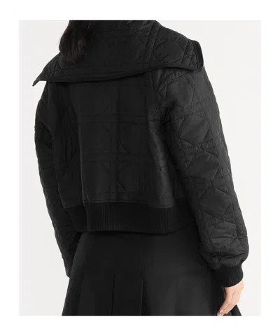 Dior Quilted Down Jacket In Technical Fabric In Black