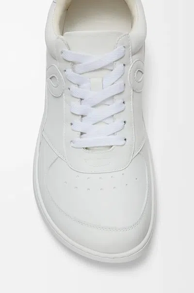 Loewe Jambo Sneaker In Soft Grained Calfskin Sneakers White In White
