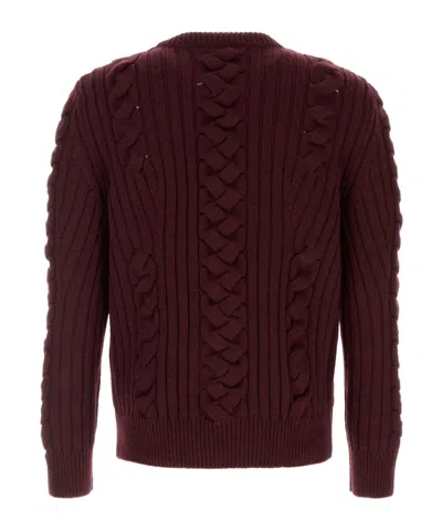 Alexander Mcqueen Alexander Mc Queen Wool Sweater In Brown