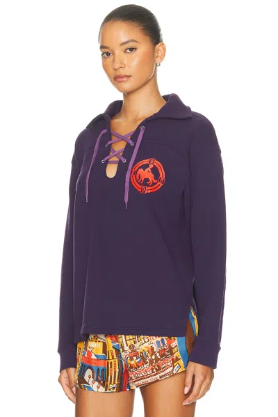 Bode Pet Pullover Sweater In Purple