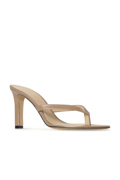 The Row Sacha Leather Thong Sandals In Brown