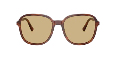 Miu Miu Womens Brown Mu B01s Square-frame Acetate Sunglasses In Brown