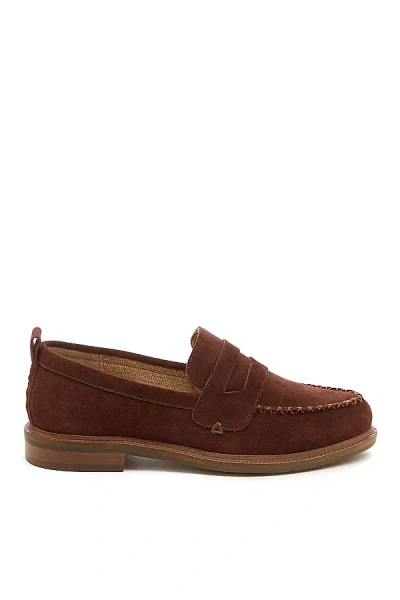 Kelsi Dagger Brooklyn, Kelsi Dagger Kelsi Dagger Brooklyn Lens Loafers In Brown