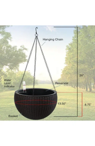 Sorbus 2-pack Hanging Planters In Multi