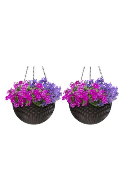 Sorbus 2-pack Hanging Planters In Multi