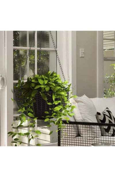 Sorbus 2-pack Hanging Planters In Multi