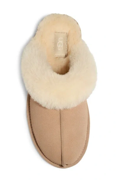 Ugg (r) Scuffette Ii Slipper In Neutral