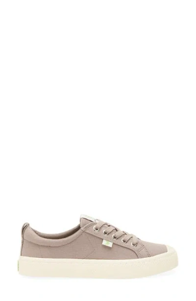 Cariuma Oca Low Cap Tie Sneaker In Gray