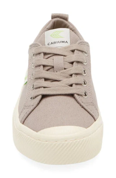Cariuma Oca Low Cap Tie Sneaker In Gray