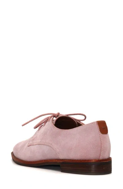 Gentle Souls Women's Aronson Almond Toe Suede Lace-up Oxford Shoes In Pink