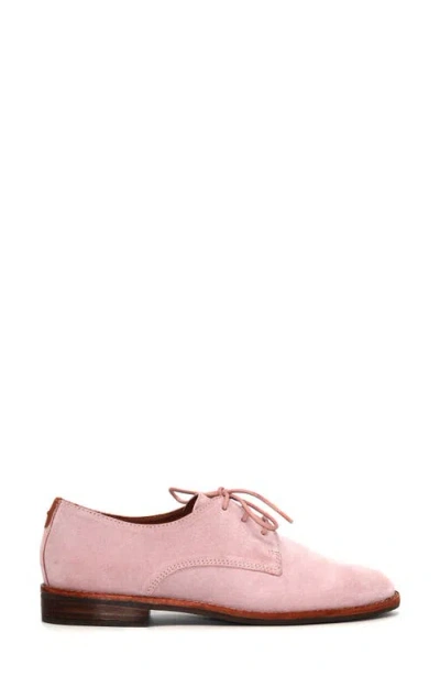 Gentle Souls Women's Aronson Almond Toe Suede Lace-up Oxford Shoes In Pink