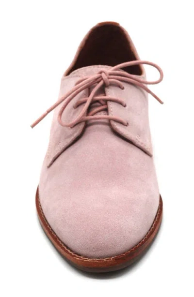 Gentle Souls Women's Aronson Almond Toe Suede Lace-up Oxford Shoes In Pink