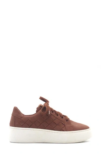 Gentle Souls Women's Kindy Woven Round Toe Sneakers In Brown