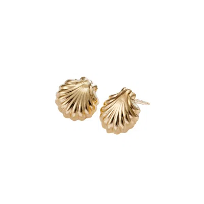 Posh Totty Designs Women's Gold Shell Stud Earrings In Gold