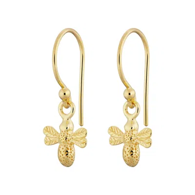 Lily Charmed Women's Gold Plated Bee Hook Earrings