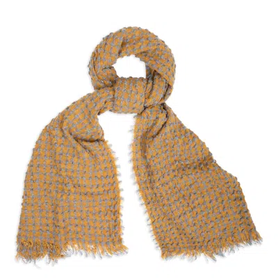 Saachi Crinkle Plaid Scarf In Brown
