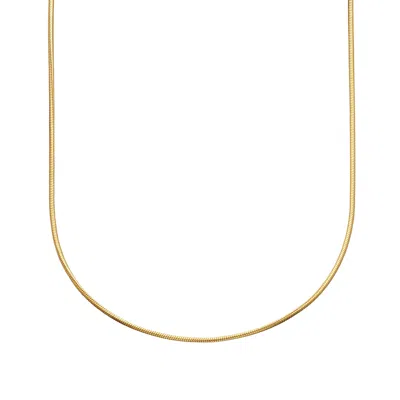 Lily Charmed Women's Gold Plated Round Snake Chain Necklace