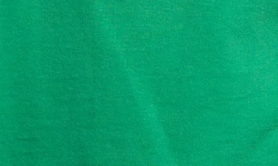 Elwood Vintage St. Thomas Jv Tee In Green