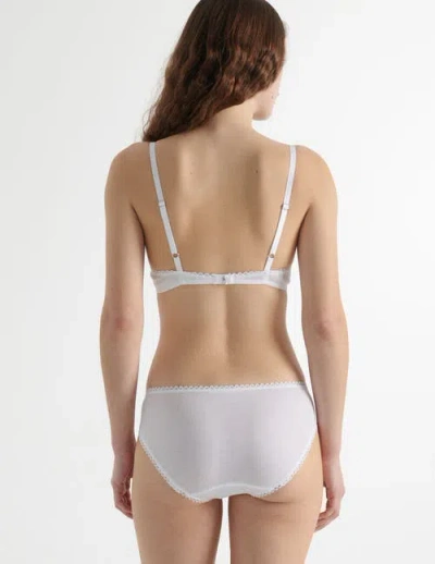 Araks Isabella Panty In Multi