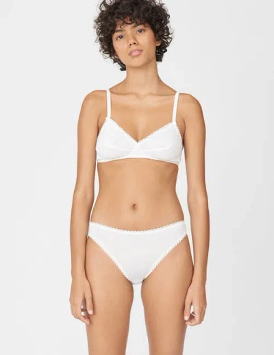 Araks Isabella Panty In Multi
