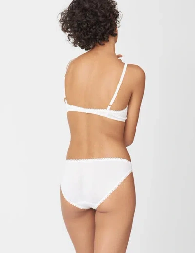 Araks Isabella Panty In Multi