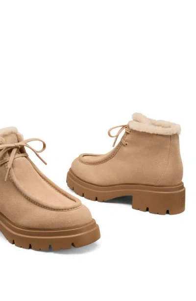 Stuart Weitzman Hudson Genuine Shearling Lined Chukka Boot In Neutral