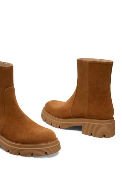 Stuart Weitzman Hudson Lite Zipped Boots In Brown