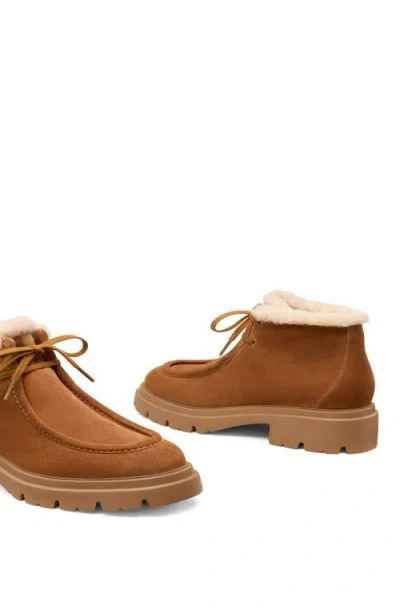 Stuart Weitzman Suede Lace-up Ankle Boots With Chunky Sole In Brown