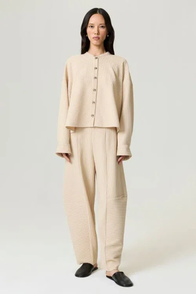 Nocturne Ribbed Detailed Jacket In Brown