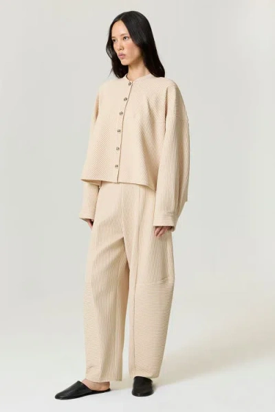 Nocturne Ribbed Detailed Jacket In Brown