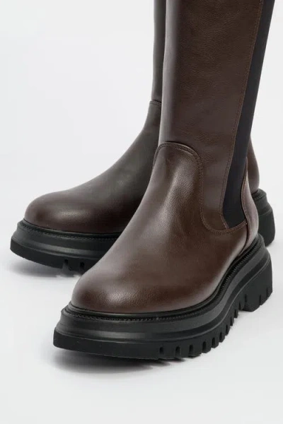 Prologue Shoes Shadow Knee High Boot In Multi