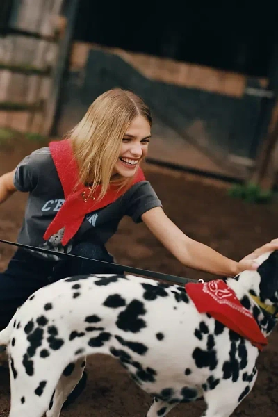 By Anthropologie Small Triangle Wrap Scarf In Red