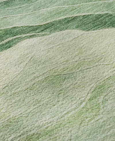 Dalyn Pacifica Washable Pa6 9'x12' Area Rug In Green