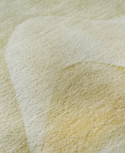 Dalyn Pacifica Washable Pa3 9'x12' Area Rug In Green