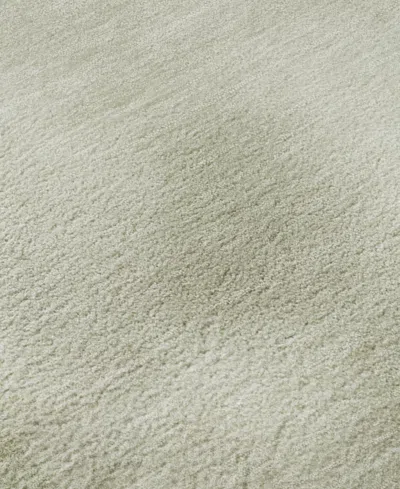 Dalyn Pacifica Washable Pa5 9'x12' Area Rug In Green